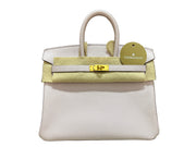 BIRKIN 25 MAUVE PALE/NATA HSS