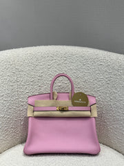 BIRKIN 25 MAUVE SYLVESTER SWIFT RGHW