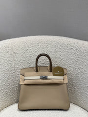 BIRKIN 25 TRICOLOR