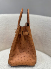 BIRKIN 30 OSTRICH TABAC CAMEL