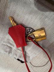 BIRKIN 35 BOUGANVILLEA