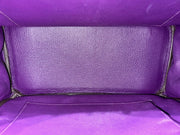 BIRKIN 30 IRIS