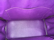 BIRKIN 30 IRIS