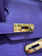 BIRKIN 30 IRIS