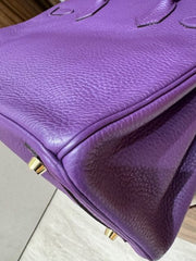 BIRKIN 30 IRIS