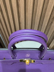 BIRKIN 30 IRIS